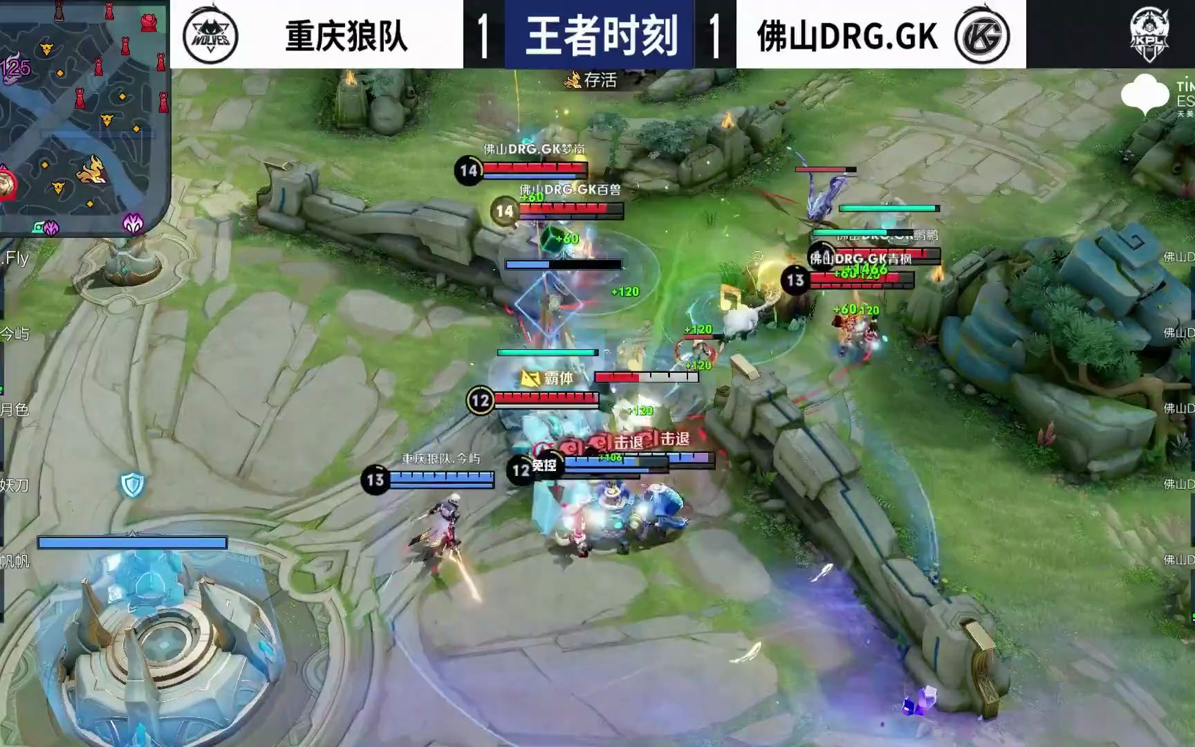 国球迷关注 国球迷关注