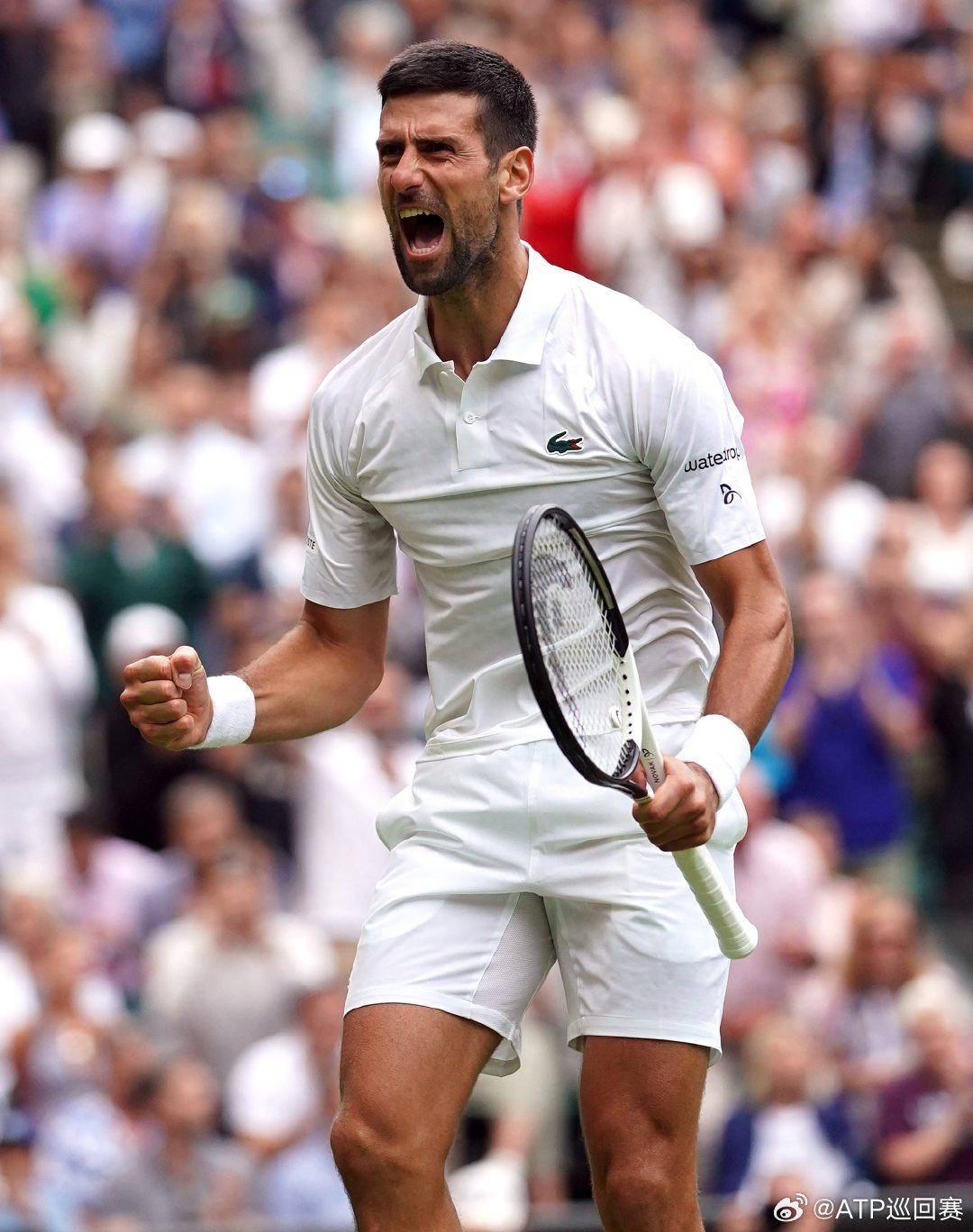 决了交通效 决了交通效