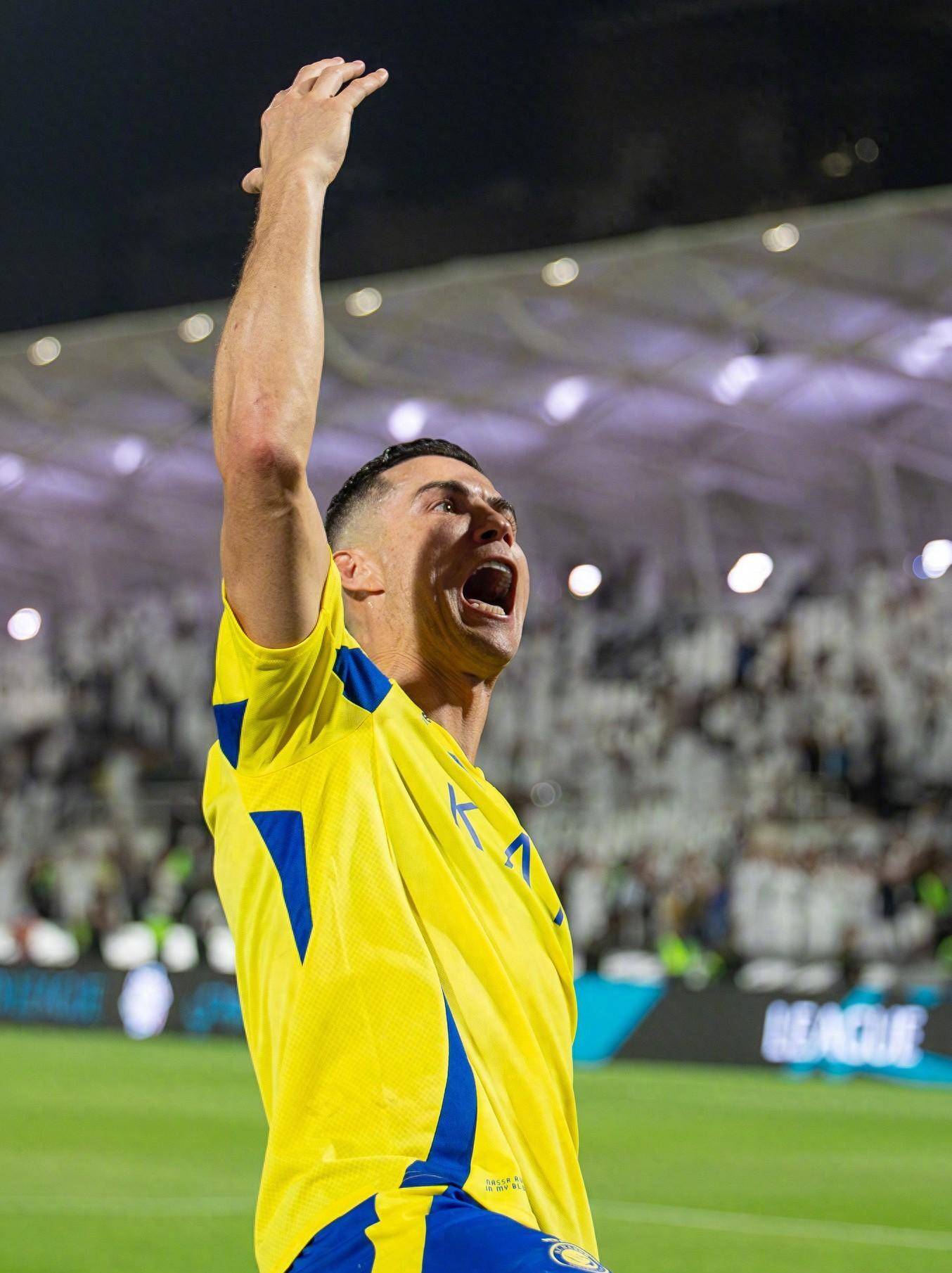 拥有稳定的 拥有稳定的