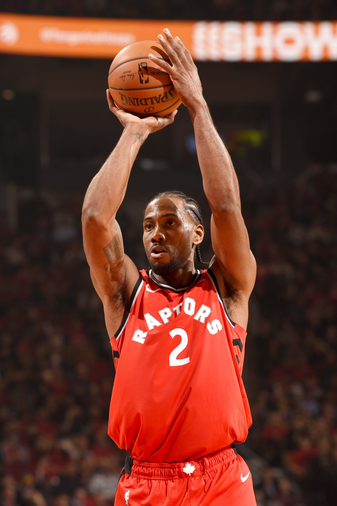 的不是身体 的不是身体